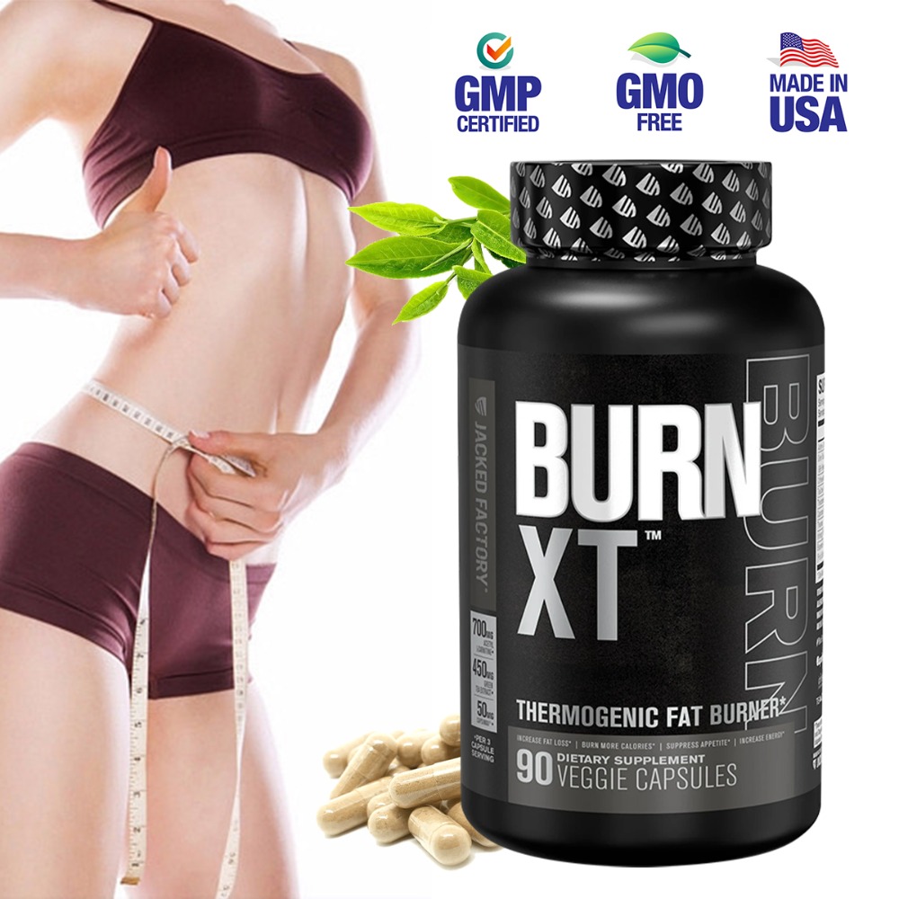 Green Tea Extract Fat - バーンXT サーモジェニックファットバーナー - 食欲抑制剤、脳機能改善剤 - プレミアムアセチルL-カルニチン、緑茶エキス