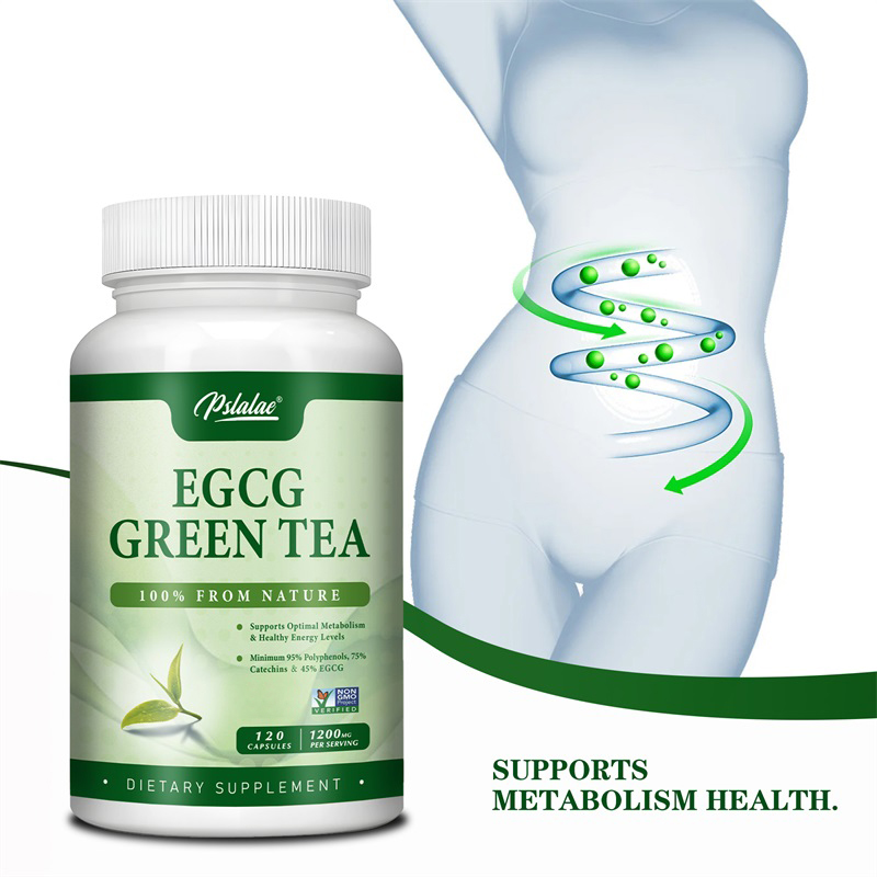 Green Tea Extract Fat - Egcg緑茶抽出物は、新陳代を高め、健康的な脂肪燃焼をサポートし、エネルギーと集中力を高めます
