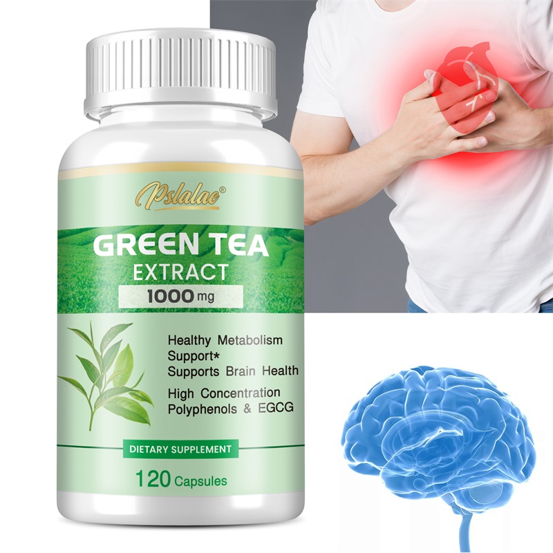 Green Tea Extract Fat - 緑茶エキス - ポリフェノール98%、EGCG50%含有 - 脂肪燃焼と抑制、食欲抑制、腸の健康、自然エネルギーのサポート
