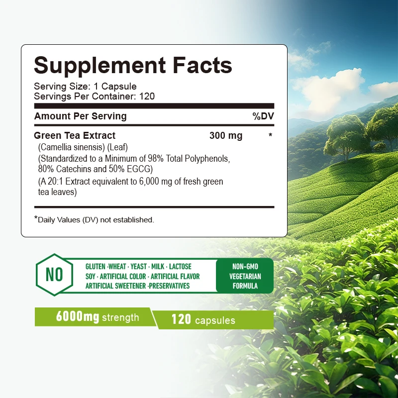 緑茶カプセル - 代謝促進、お腹の脂肪燃焼、食欲抑制、体重管 - Green Tea Extract Fat のレビューと価格