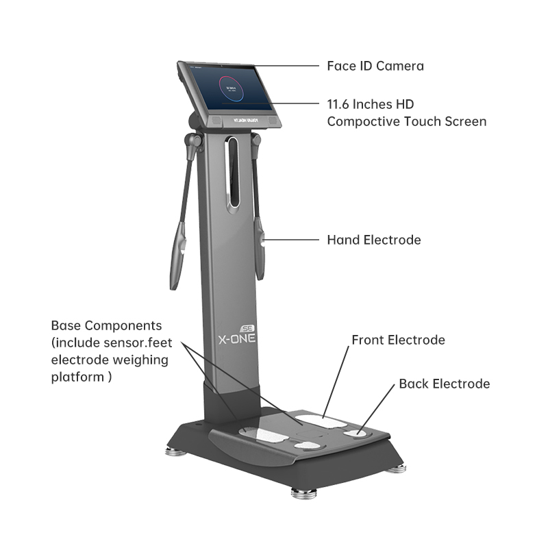 X ONE SE ボディマッサージャー 全身フィットネス栄養 - Nutrition One Fitness のレビューと価格