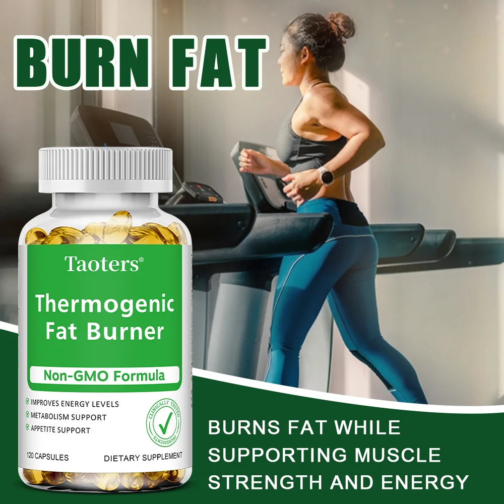 緑茶エキス - リンゴ酢配合、脂肪燃焼＆抑制、食欲抑制、腸の - Green Tea Extract Fat のレビューと価格