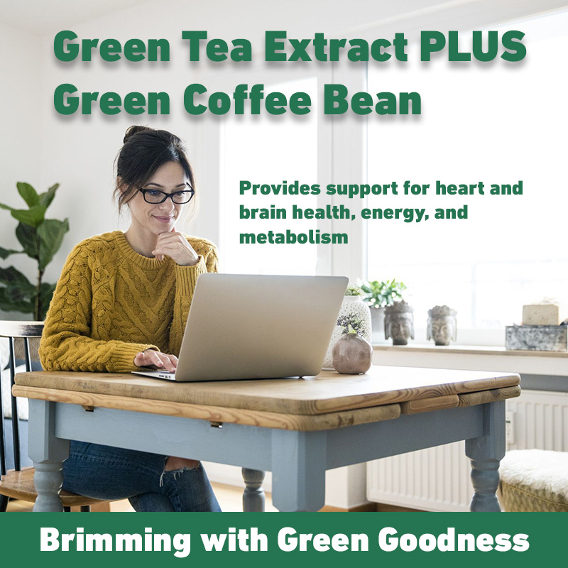 緑茶エキス - 男性と女性のための高速脂肪燃焼サプリメント  - Green Tea Extract Fat のレビューと価格