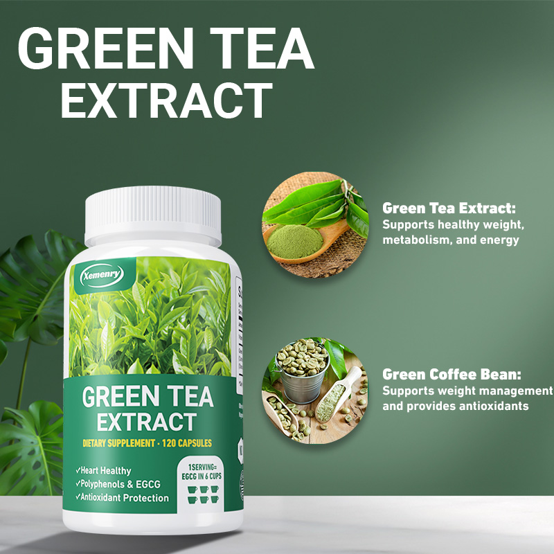 緑茶エキス - 男性と女性のための高速脂肪燃焼サプリメント  - Green Tea Extract Fat のレビューと価格