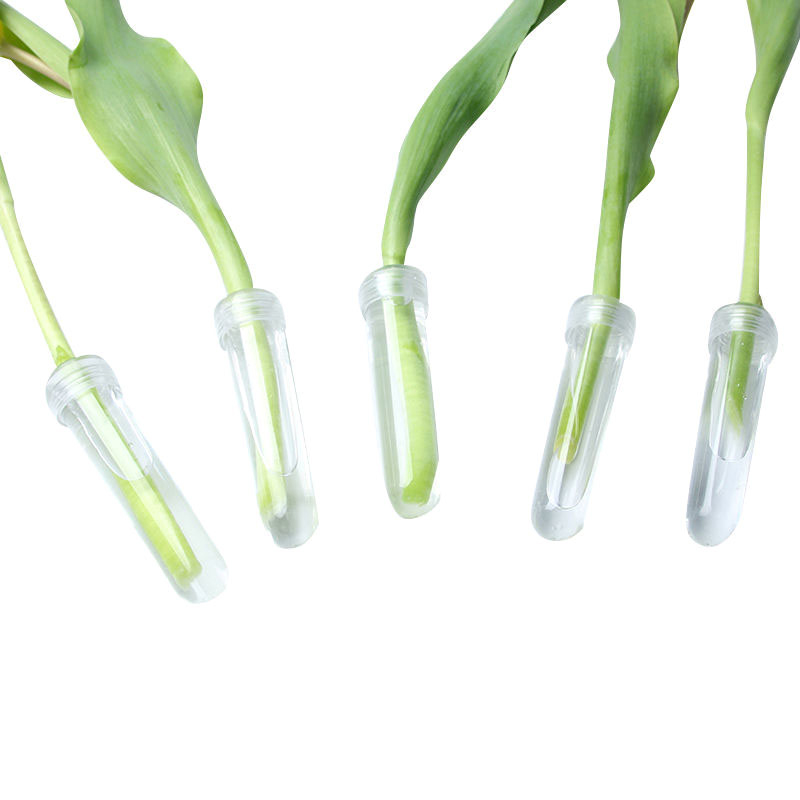 キャップ付きのプラスチック製の新鮮な花の栄養チューブ、水収納 - Nutrition & Fitness Coaching Fulham のレビューと価格