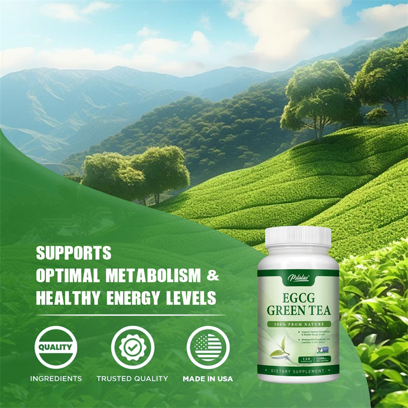 Egcg緑茶抽出物は、新陳代を高め、健康的な脂肪燃焼をサポー - Green Tea Extract Fat のレビューと価格