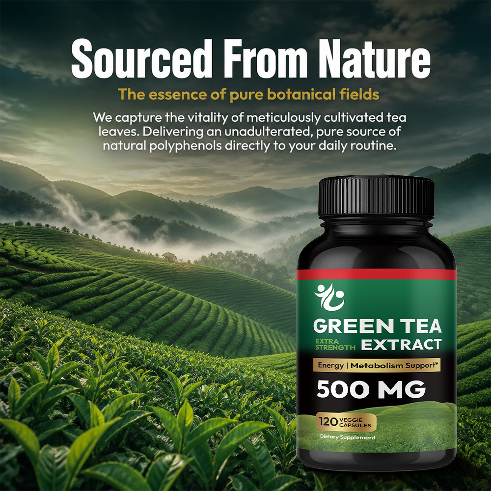 緑茶カプセル - 代謝を促進し、健康的な脂肪燃焼をサポートし - Green Tea Extract Fat のレビューと価格