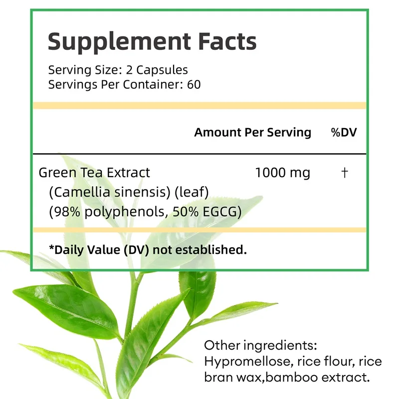緑茶エキス - ポリフェノール98%、EGCG50%含有 - - Green Tea Extract Fat のレビューと価格
