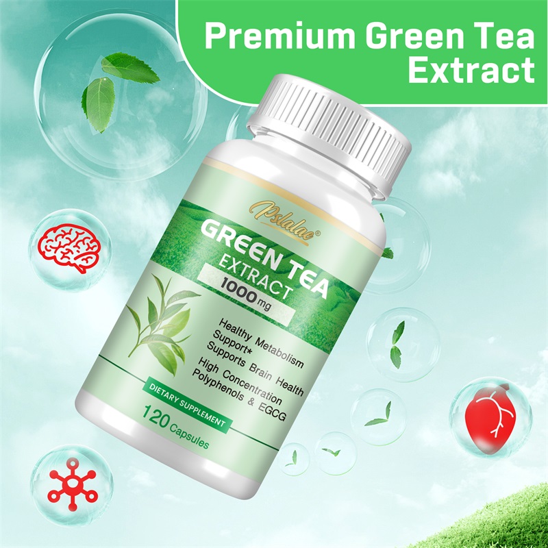 緑茶エキス - ポリフェノール98%、EGCG50%含有 - - Green Tea Extract Fat のレビューと価格