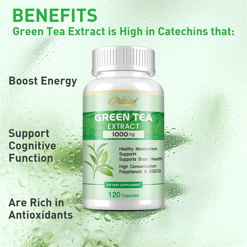 緑茶エキス - ポリフェノール98%、EGCG50%含有 - - Green Tea Extract Fat のレビューと価格